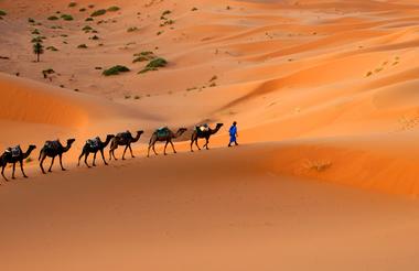 Morocco - Desert Discovery - Thee Curious Traveller Tours